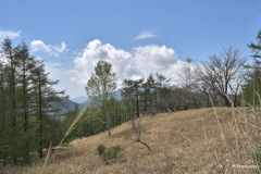 傘雲