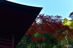 01-DSC_0872
