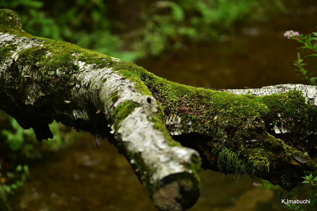 01-DSC_6016