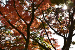 03-DSC_0877