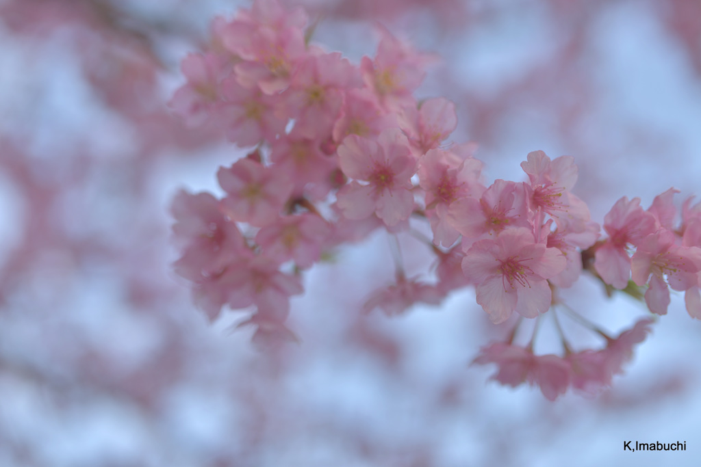 3-DSC_4102
