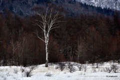 25-DSC_1171