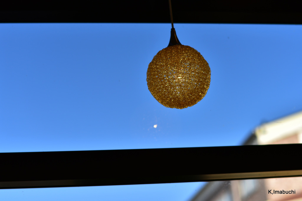 7-DSC_9811