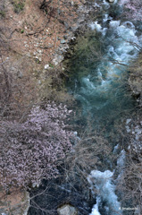 12-DSC_5227