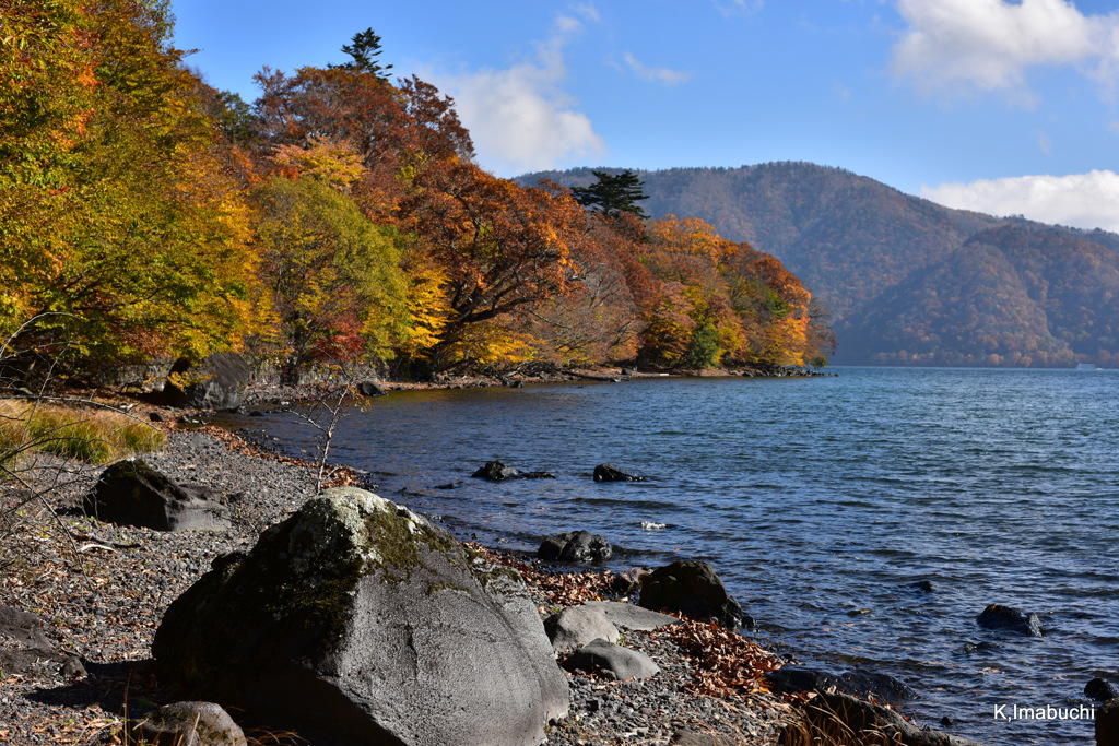 49-DSC_0021