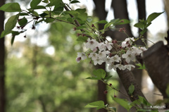 05-DSC_5058