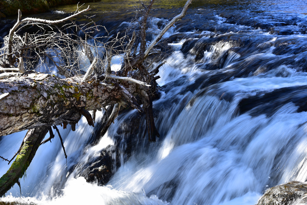 40-DSC_9996