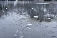 01-DSC_1081