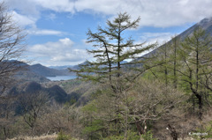 中禅寺湖