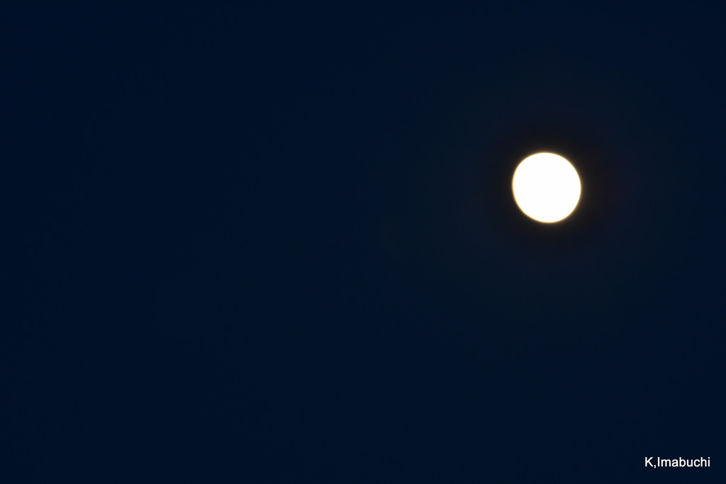1-DSC_6264
