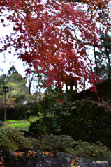 3-DSC_0988-001
