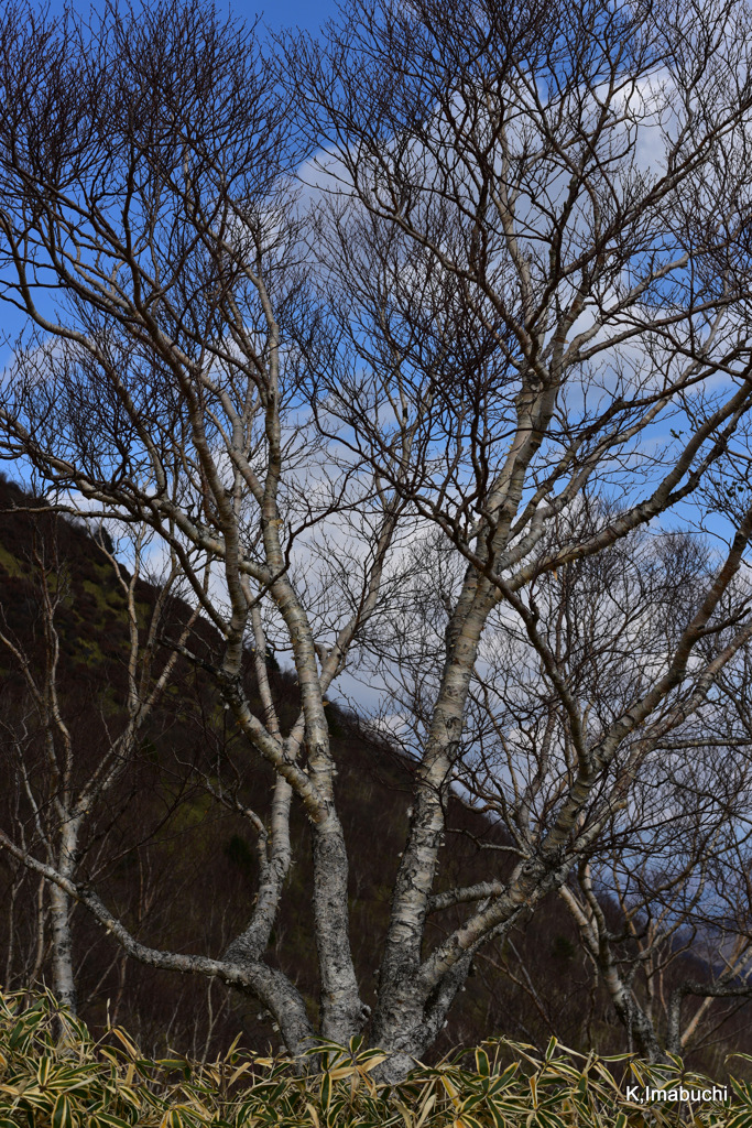 02-DSC_0198