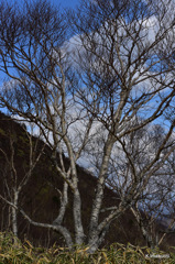 02-DSC_0198