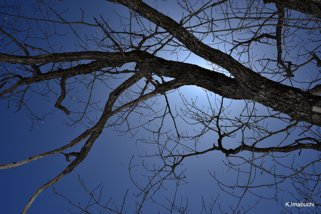 11-28-DSC_4287