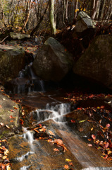 14-DSC_0737