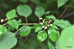 02-DSC_9877