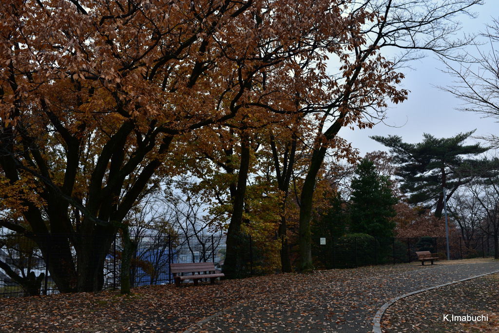 03-DSC_0961