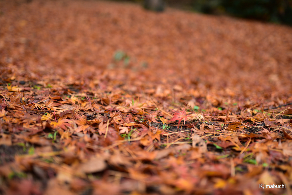 05-DSC_0965