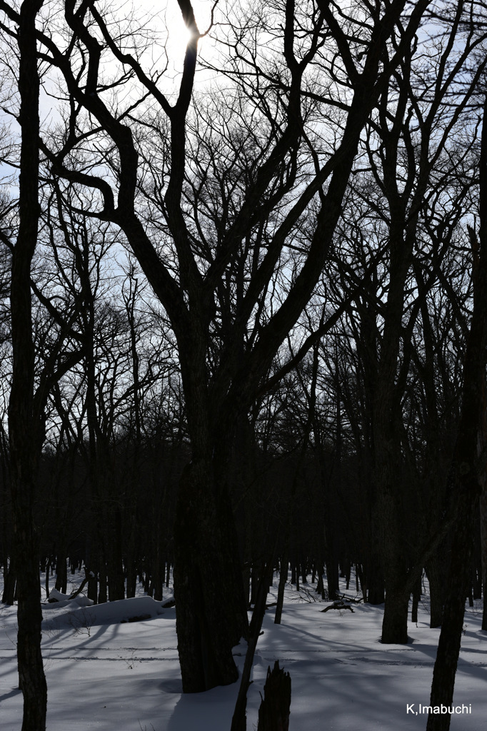 24-DSC_2556