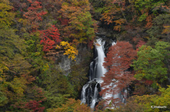 10-DSC_0261
