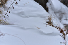 05-DSC_1092