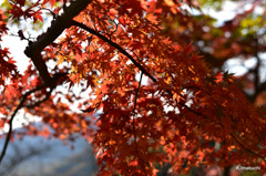 04-DSC_0882