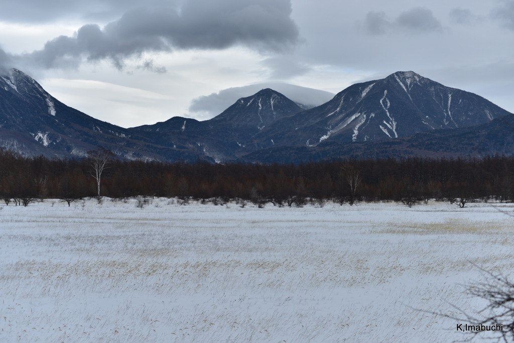 28-DSC_1177