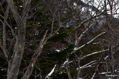 03-DSC_1087
