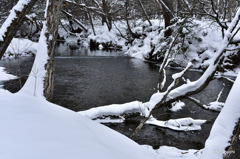 07-DSC_1109