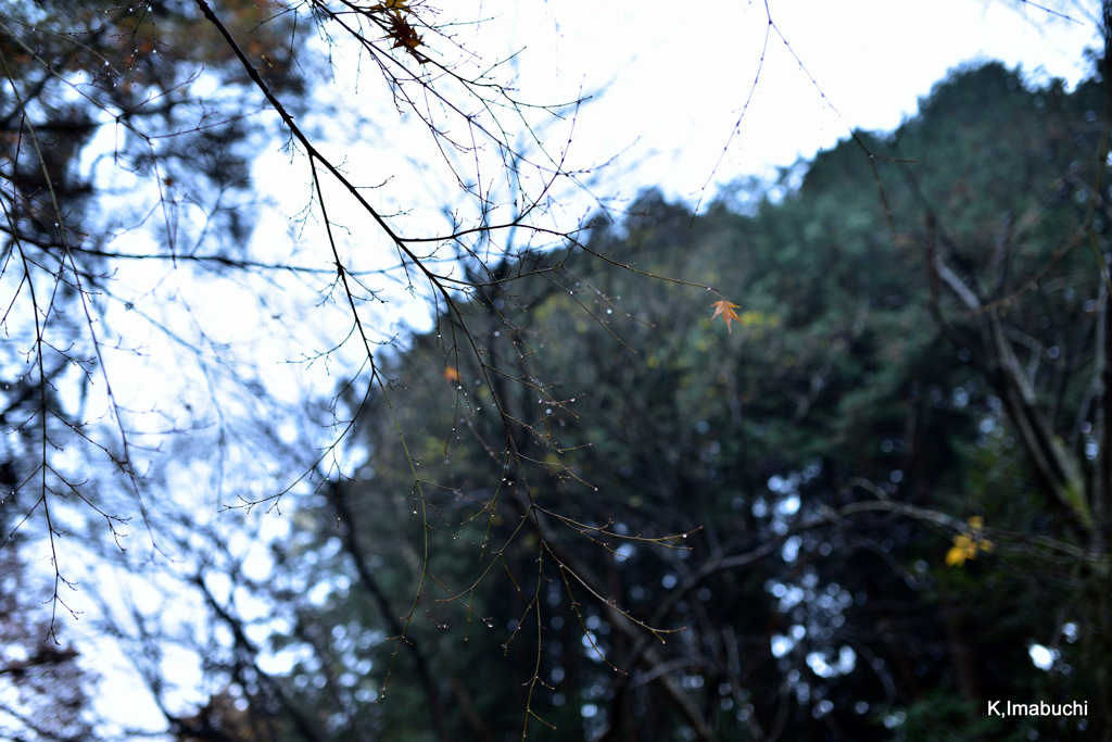 07-DSC_0972