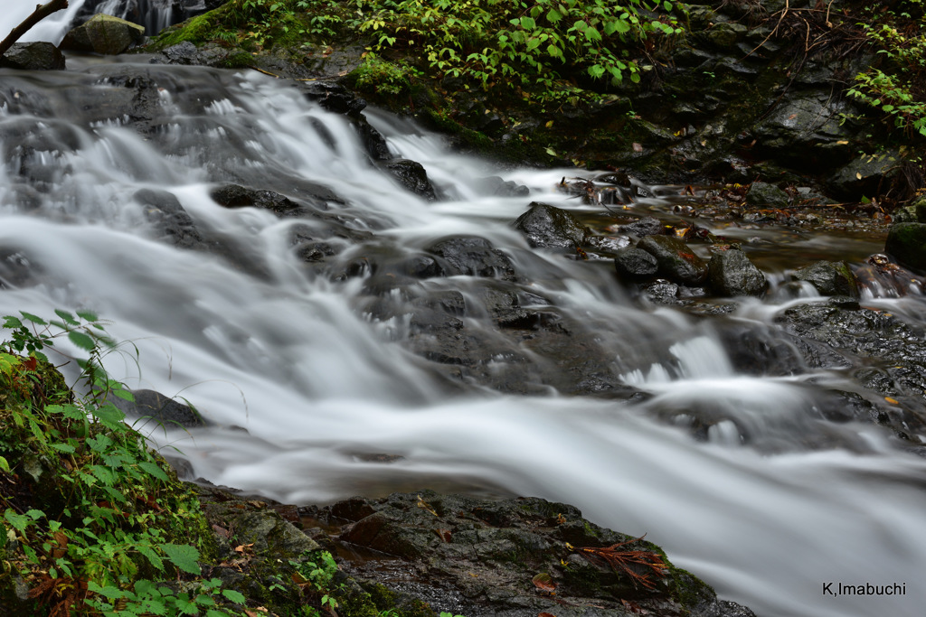 52-DSC_0027