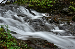 52-DSC_0027