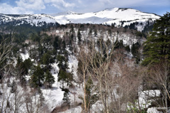16-DSC_5236