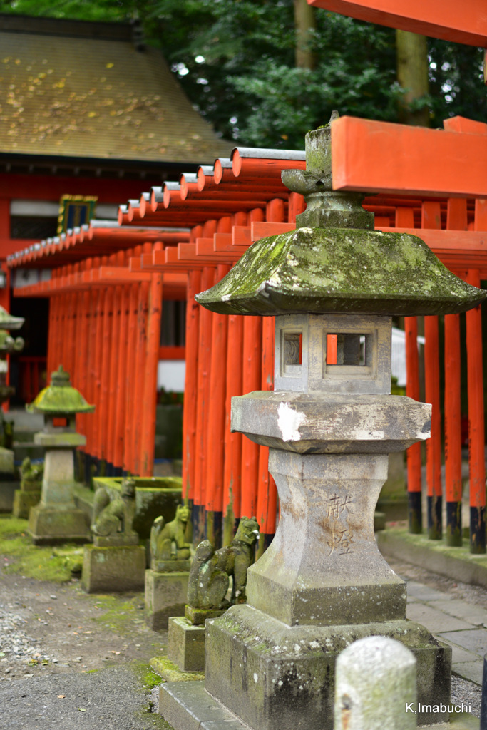 03-DSC_0053