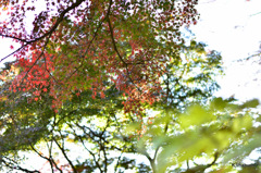 15-DSC_0920