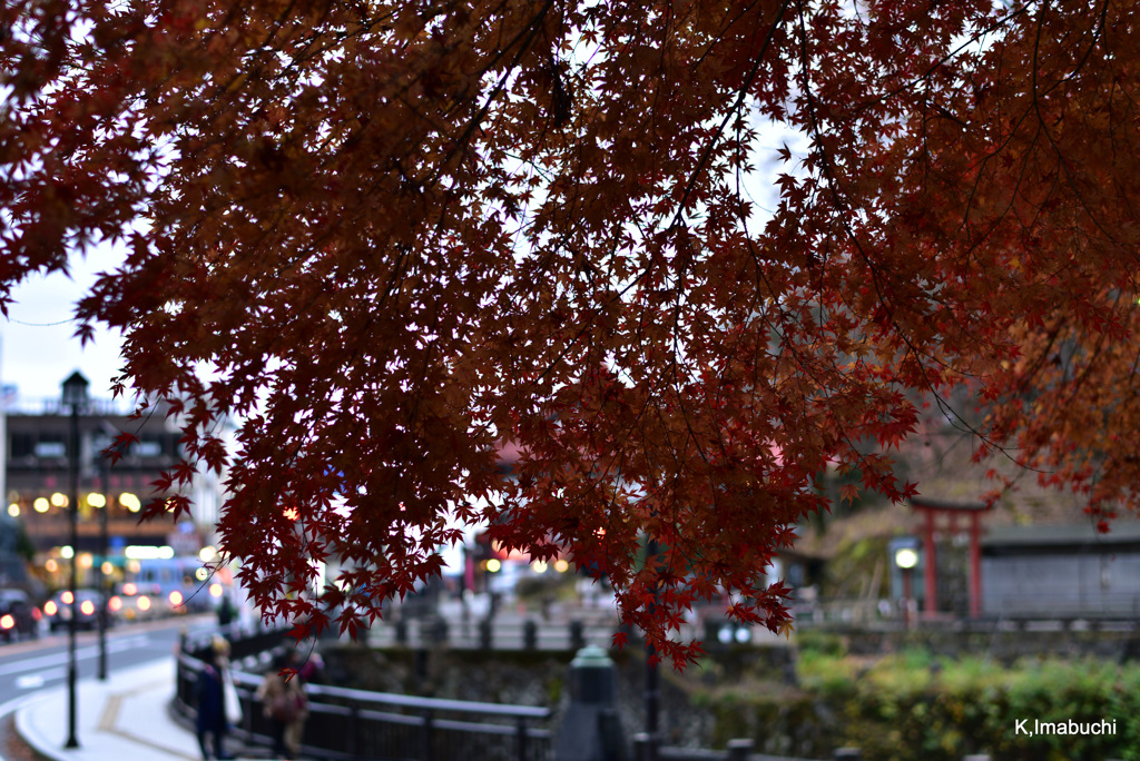 6-DSC_1004-001