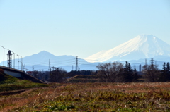 DSC_1259