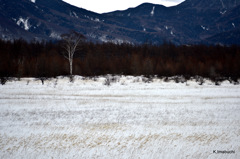 27-DSC_1175