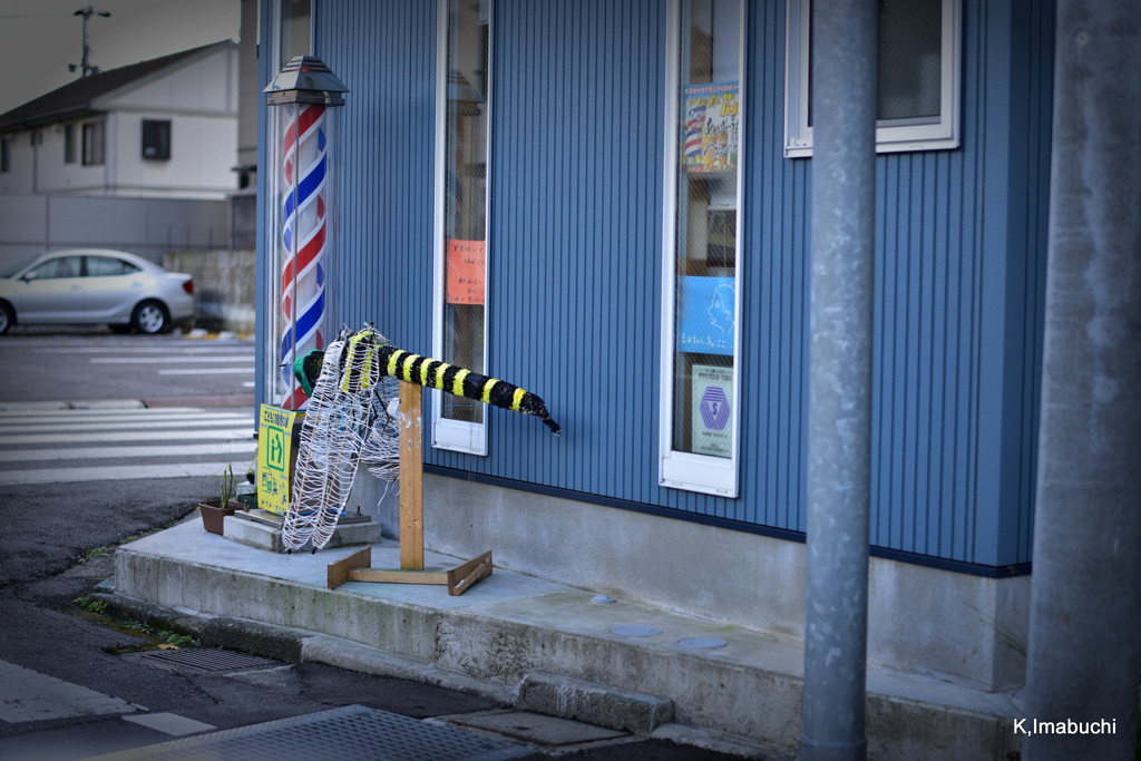 1-DSC_1049