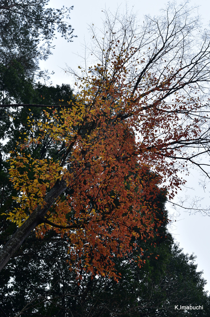 01-DSC_0957