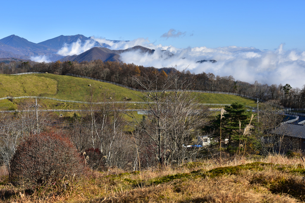 08-DSC_0705