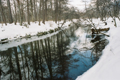 FH010021
