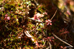 19-DSC_9914