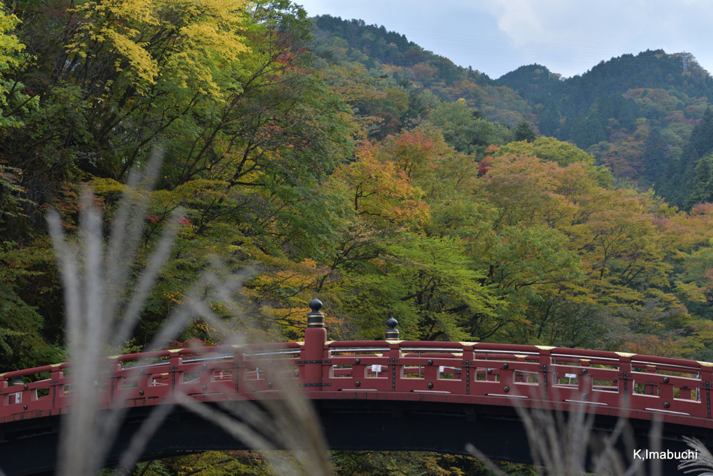14-DSC_0297