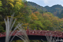 14-DSC_0297
