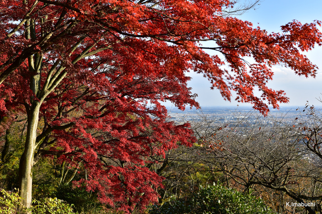 10-DSC_0905