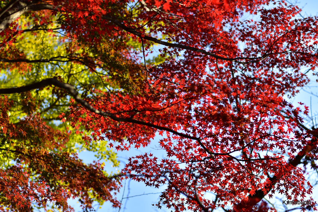 09-DSC_0898