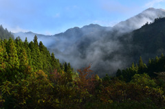 04-DSC_0684