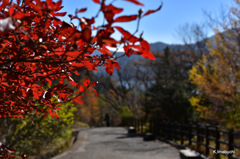 36-DSC_9976