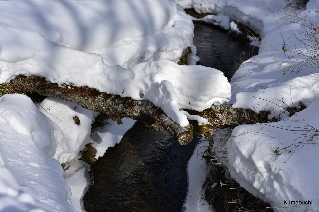 20-DSC_2545